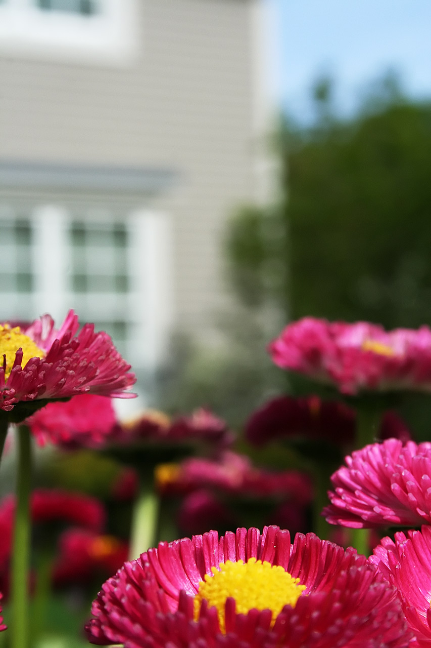 Photographie par heidiinc pour DesignCrowd (Community Contests) | Design #8946996