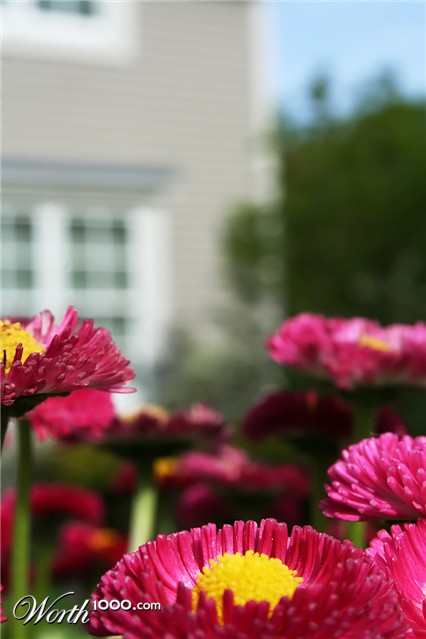 Photography by heidiinc