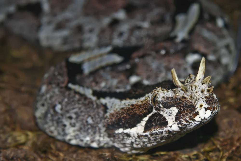 Photographie par lynvdg pour DesignCrowd (Community Contests) | Design #8946877