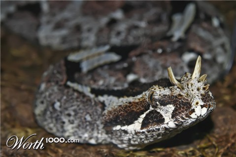 Photography by lynvdg