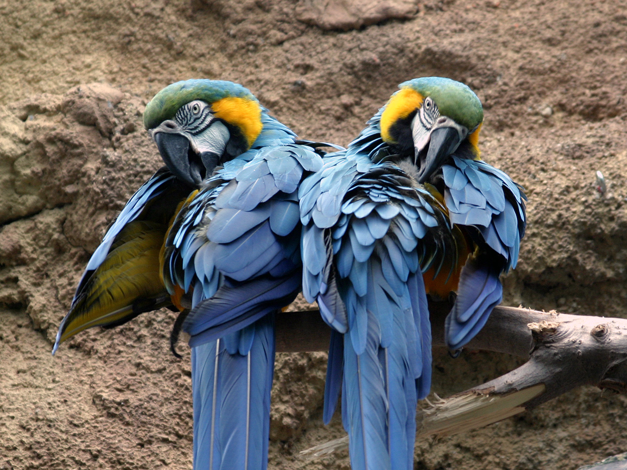 Photography by garettkipp for DesignCrowd (Community Contests) | Design #8944015