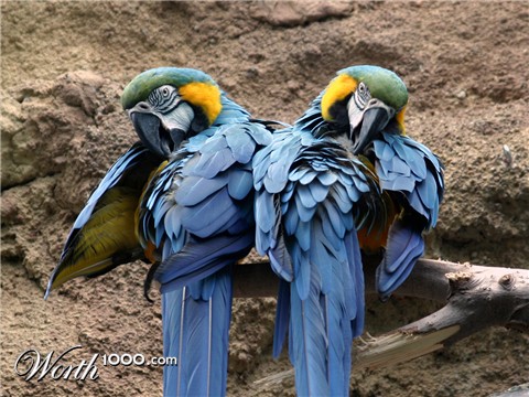 Photography by garettkipp