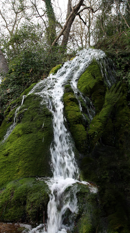 Design Photoshop par GeshaR pour DesignCrowd (Community Contests) | Design #8940767