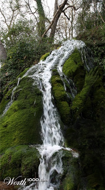 Photoshop Design by GeshaR