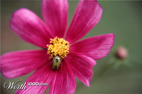 Photography by phoneymoon