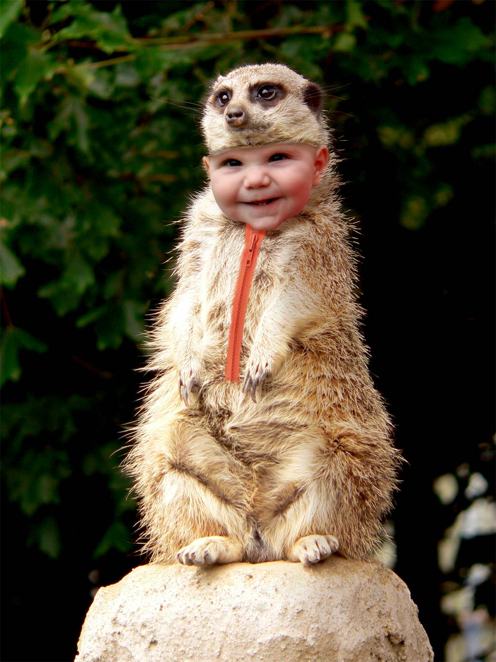 Photoshop Design by lucimine for DesignCrowd (Community Contests) | Design #8943503