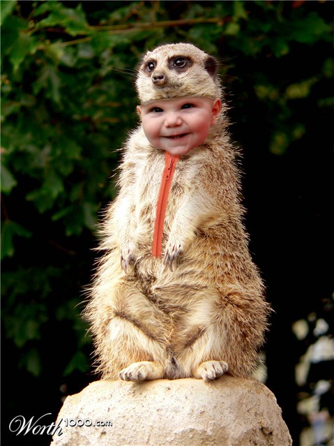 Photoshop Design by lucimine