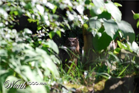 Photography by mush2274