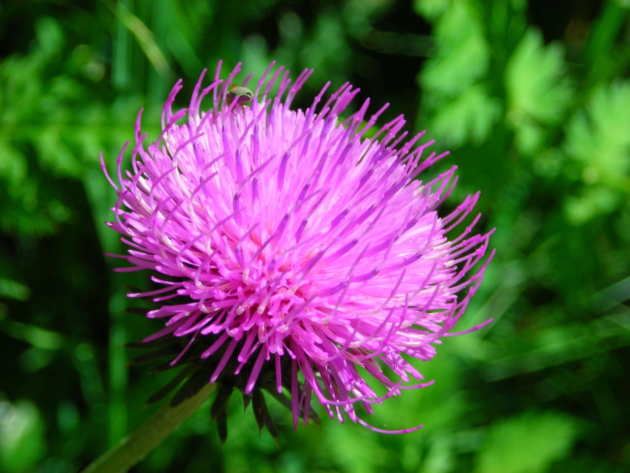 Fotografie von Fraxav für DesignCrowd (Community Contests) | Design #8947067