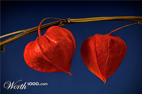 Photography by frankacaba