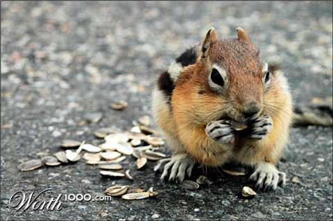 Photography by clutch
