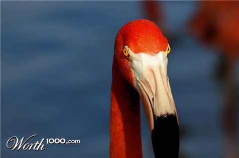 Photography by margold