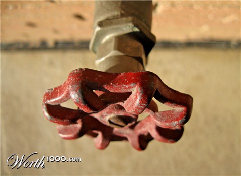 Photography by Zuezzo