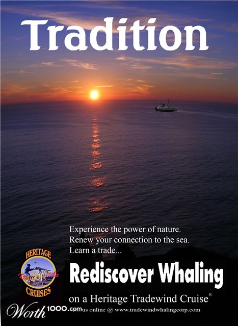 Photoshop Design by madscotsman