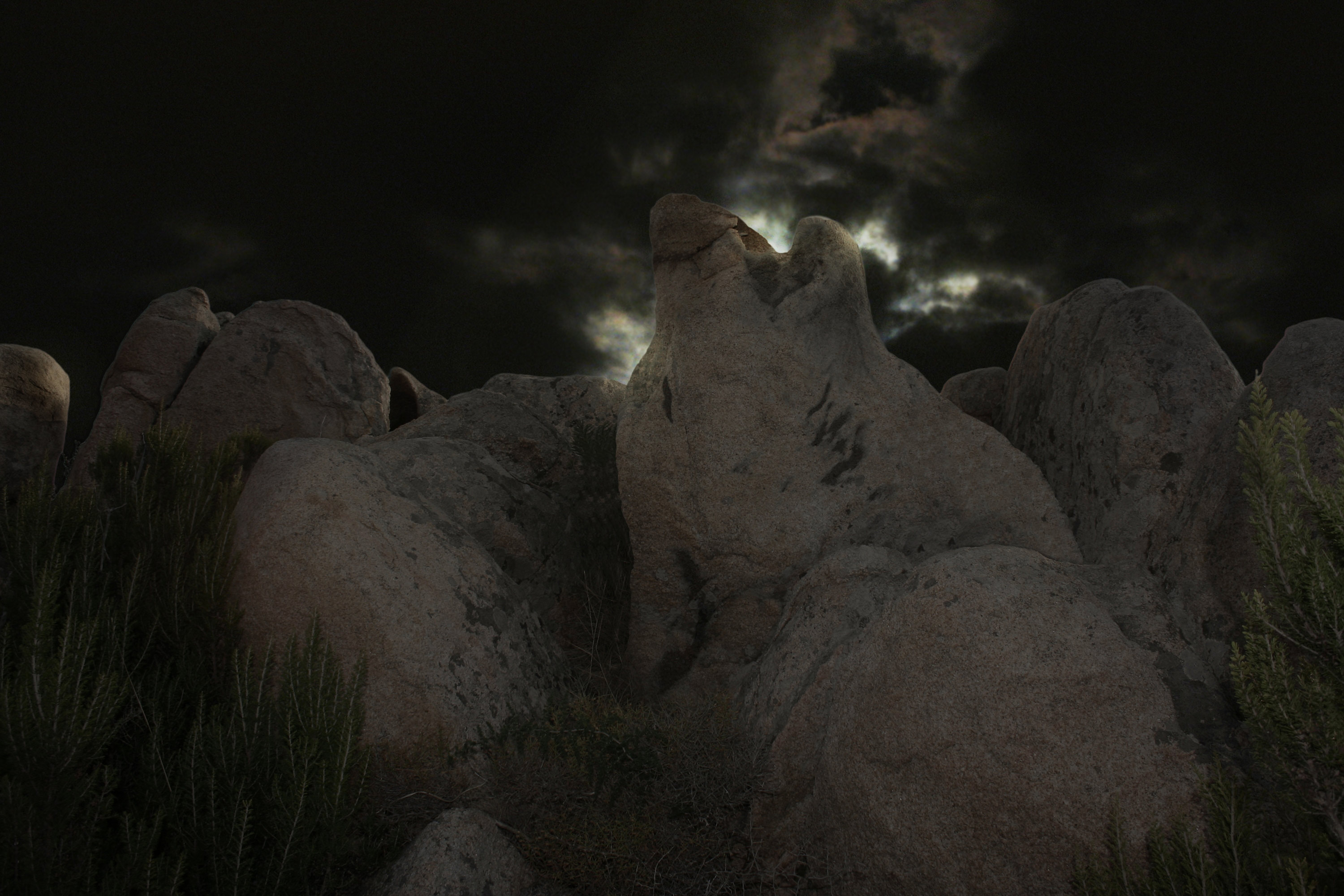 Photoshop Design by nebfronet for DesignCrowd (Community Contests) | Design #8940851