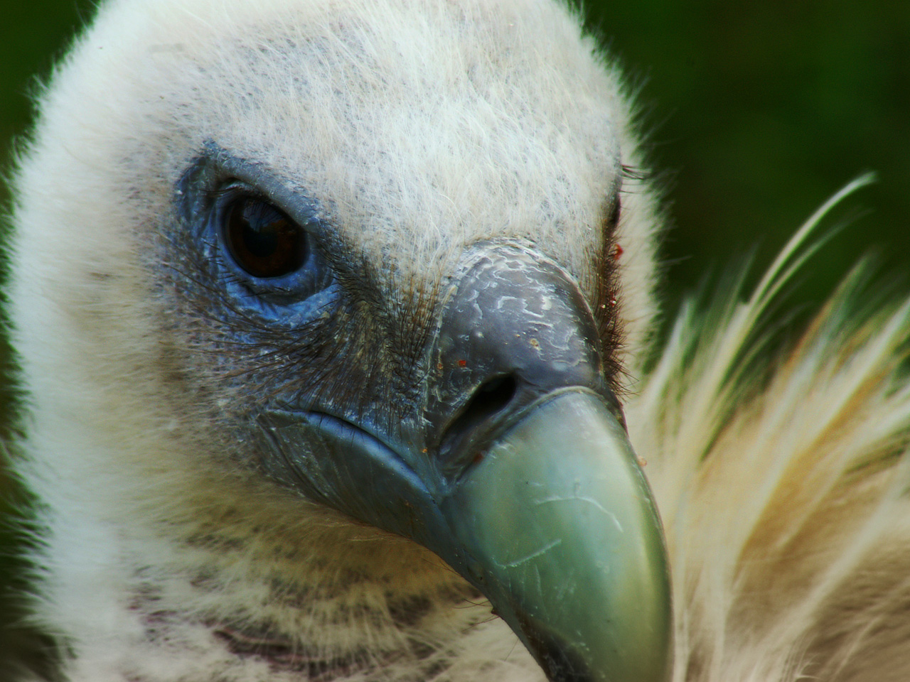 Photography by lunaryuna for DesignCrowd (Community Contests) | Design #8941236