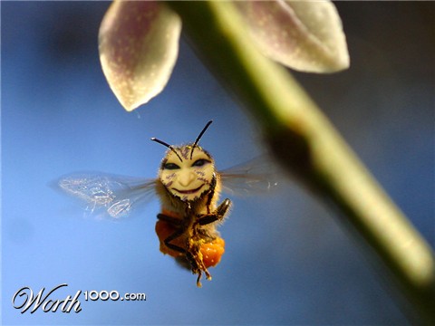 Photoshop Design by domineeFischer