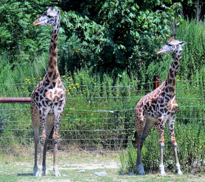 Photography by wilowwhysp for DesignCrowd (Community Contests) | Design #8944047