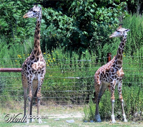 Photography by wilowwhysp