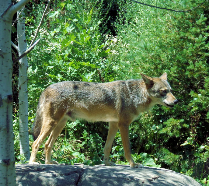 Photography by wilowwhysp for DesignCrowd (Community Contests) | Design #8941125