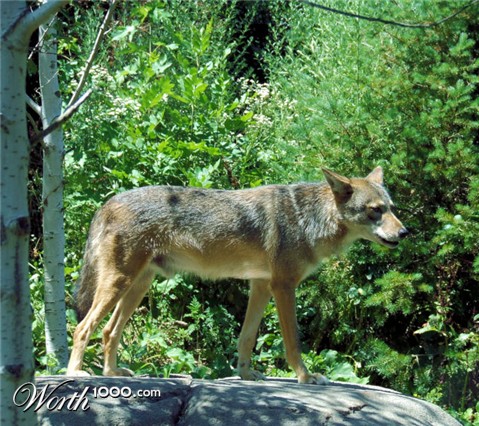 Photography by wilowwhysp