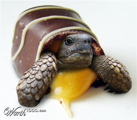 Photoshop Design by jrsoares