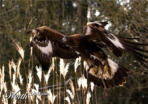 Photography by Allinav