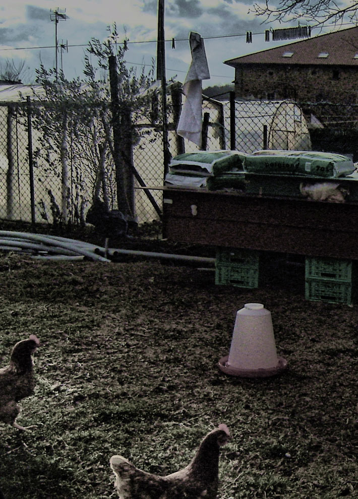 Photography by AsierReisa for DesignCrowd (Community Contests) | Design #8943990