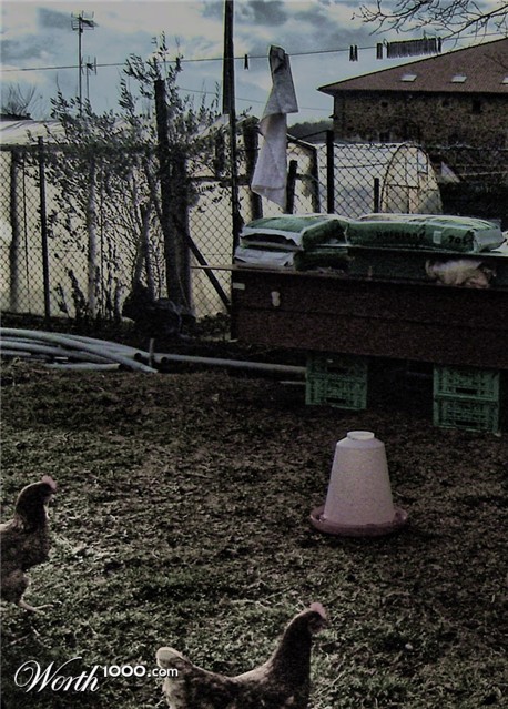 Photography by AsierReisa