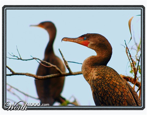 Photography by margold