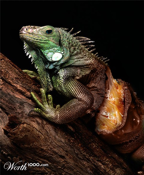 Photoshop Design by Justincorkum7