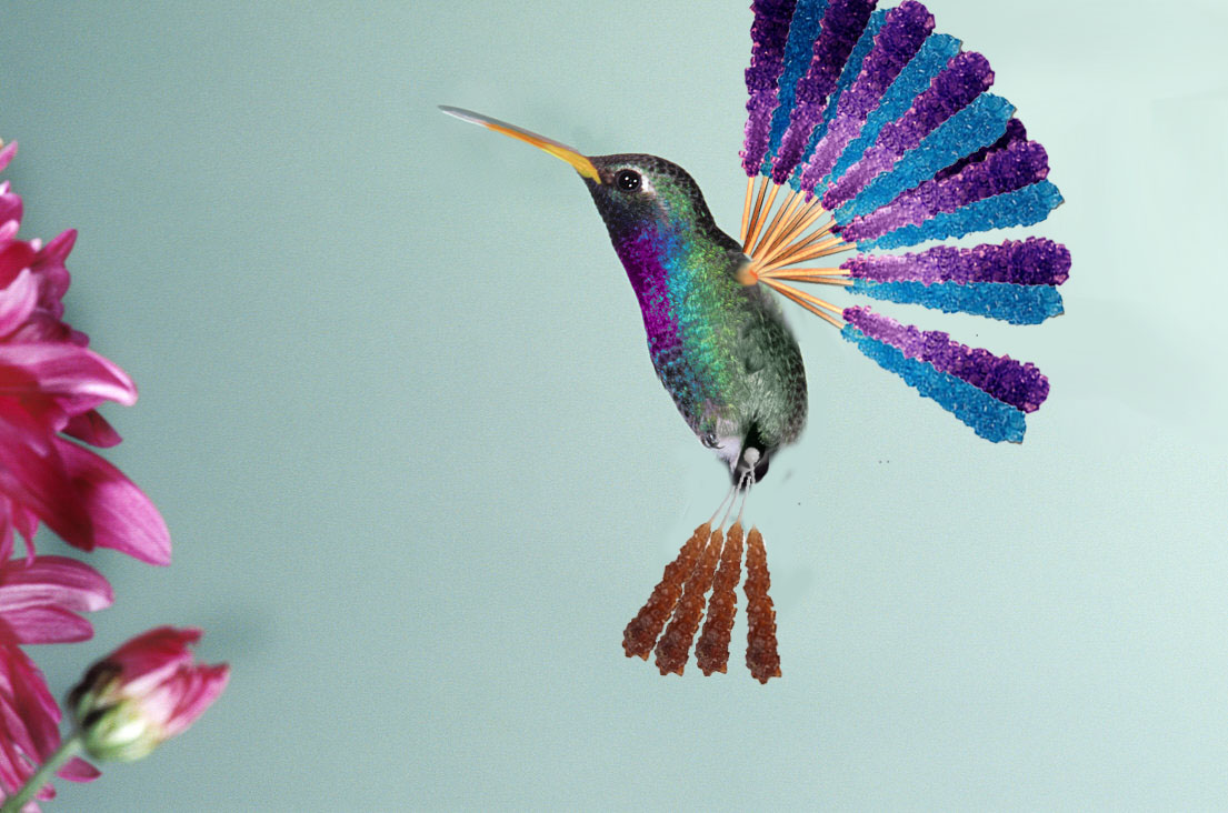 Photoshop Design by cigariscigar for DesignCrowd (Community Contests) | Design #8944194