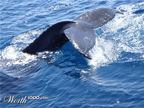 Photography by tilley441