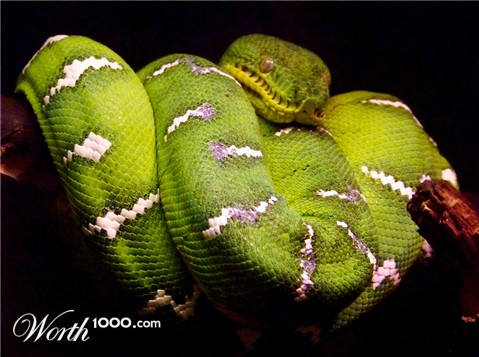 Photography by dinosaur