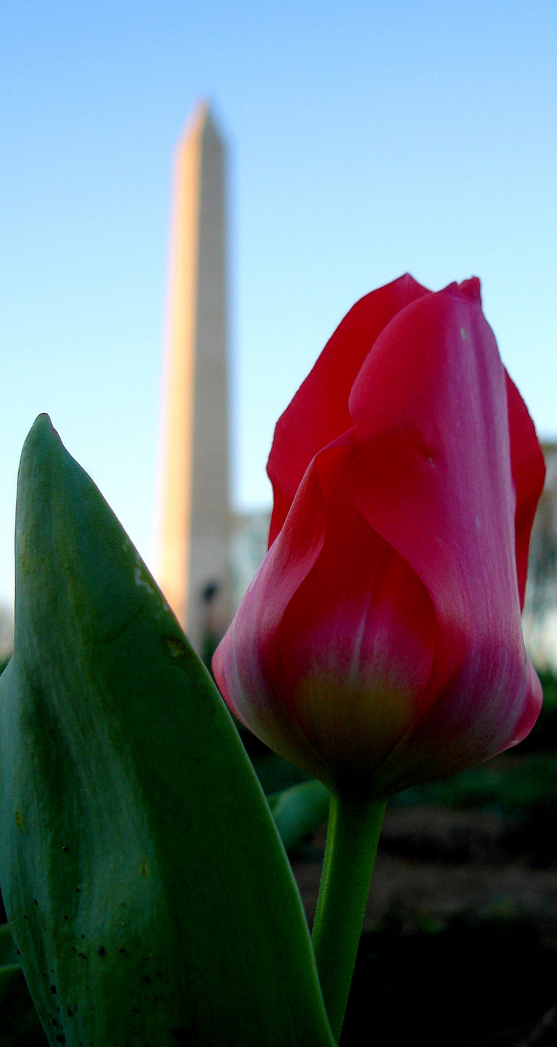 Photography by scotty2hotty for DesignCrowd (Community Contests) | Design #8939190