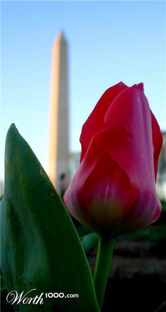 Photography by scotty2hotty