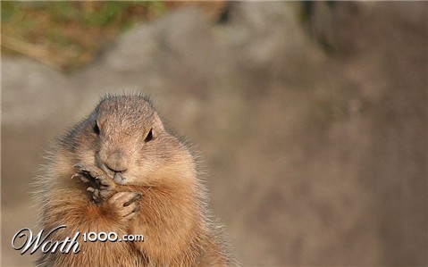 Photography by Anmatta