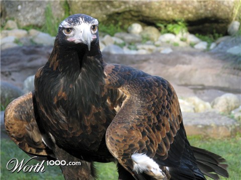 Photography by Swish1940