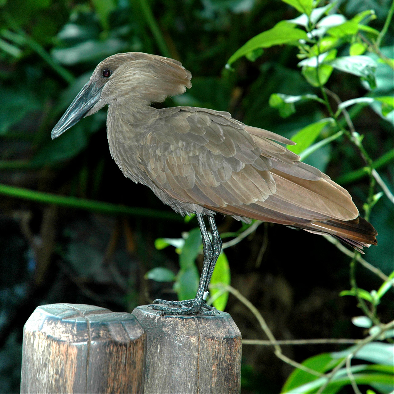 Photography by cameronsangel for DesignCrowd (Community Contests) | Design #8941342