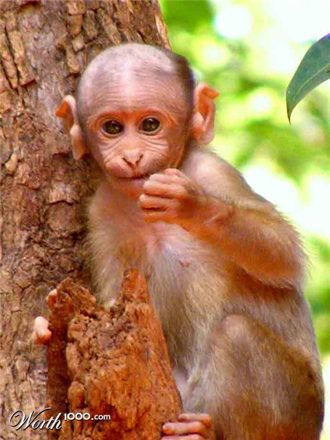 Photography by siddheshsg