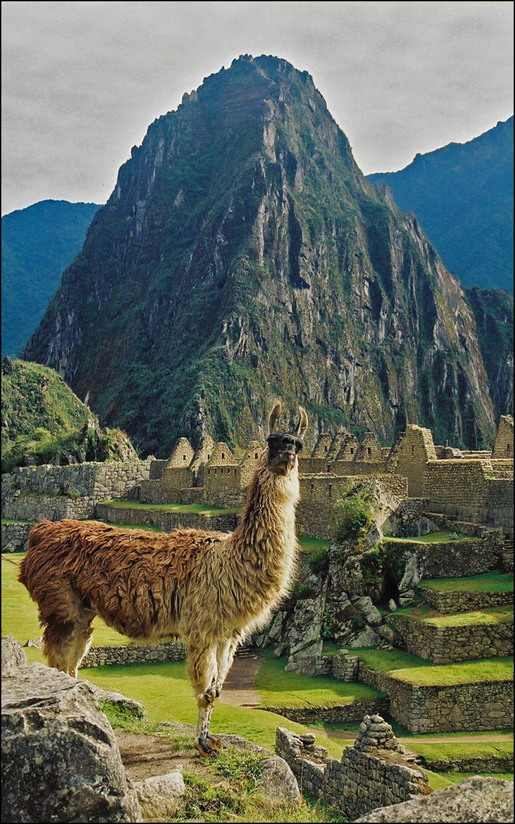 Photographie par CraigMc pour DesignCrowd (Community Contests) | Design #8939227