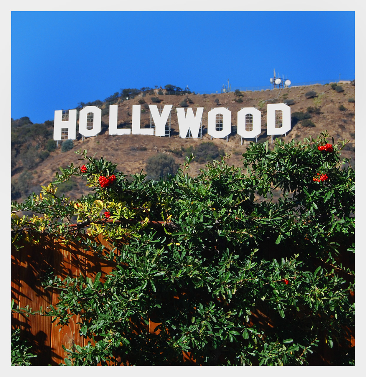 Photography by Smgkw123 for DesignCrowd (Community Contests) | Design #8939223