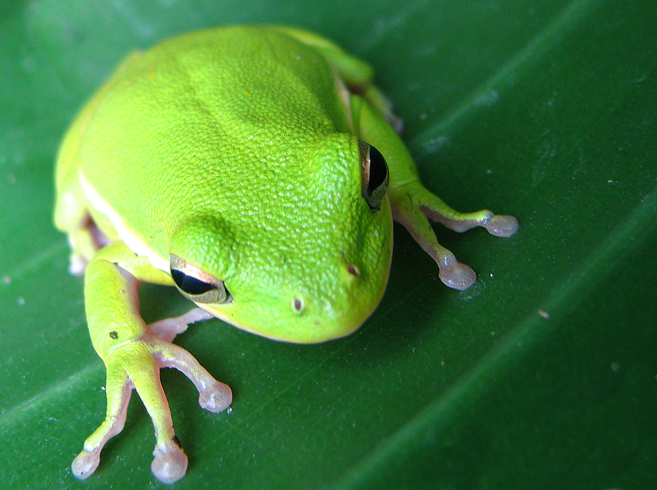 Photography by orazio for DesignCrowd (Community Contests) | Design #8941324