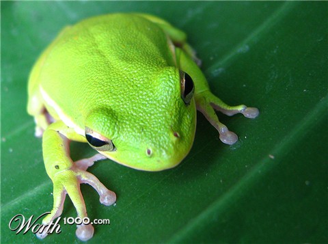 Photography by orazio