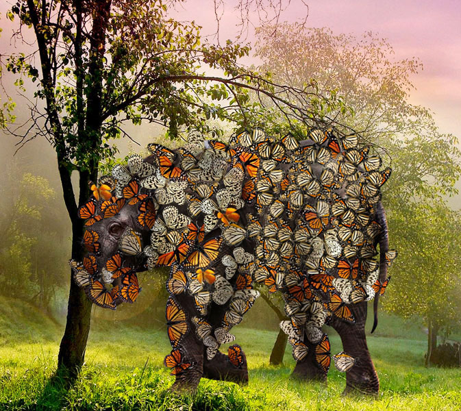 Diseño de Photoshop por yolinnie para DesignCrowd (Community Contests) | Diseño #8944525