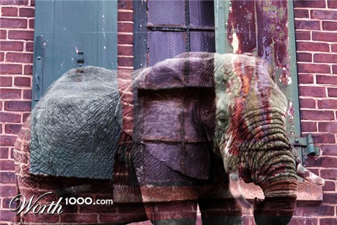 Photoshop Design by ricofrans