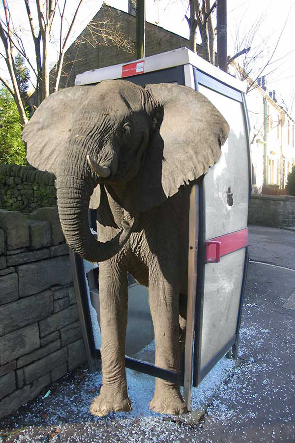 Photoshop Design by lal321 for DesignCrowd (Community Contests) | Design #8944562