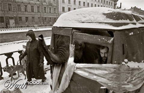 Photoshop Design by SteamPG