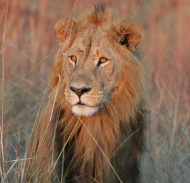 Photography by dc233384 for DesignCrowd (Community Contests) | Design #8941339