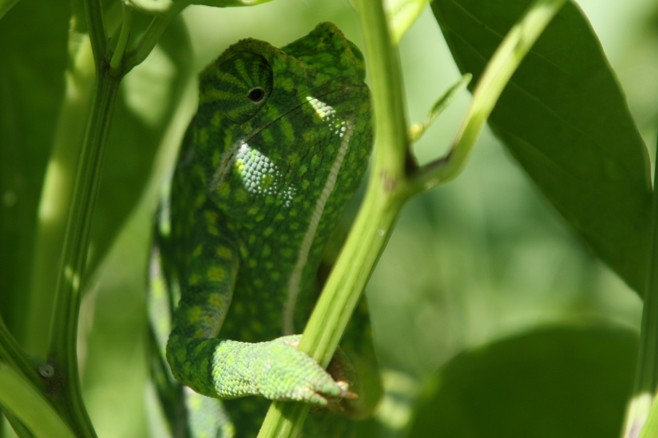 Photography by huglynn for DesignCrowd (Community Contests) | Design #8941498